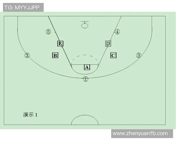 深入分析杭州篮球队的快速转换战术与战斗策略
